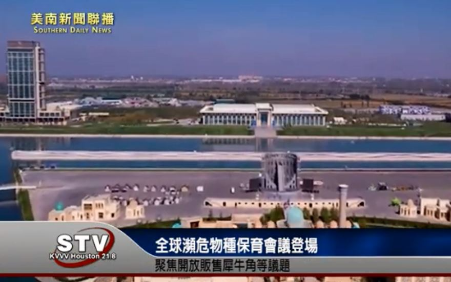 全球瀕危物種保育會議登場　聚焦開放販售犀牛角等議題