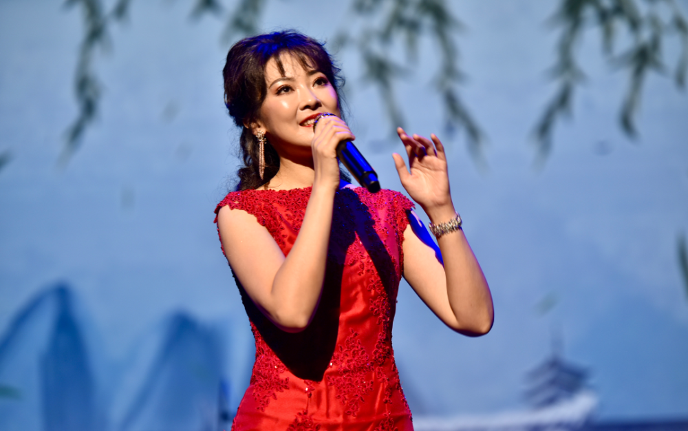 陈佳巡回演唱会休斯顿之夜    灯火如海    离巅峰只差一步