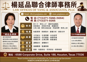 YANG 楊延品律師