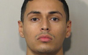 休士頓老虎飼主找到了！但老虎卻不見蹤影...