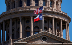 成立休斯敦非洲外交官論壇之籌議