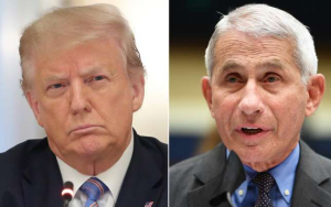 白宮淡化福西，因爲他不同意特朗普的病毒觀點