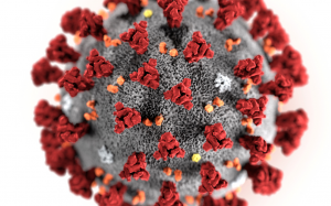 加強防疫 美衛生部請國會增撥1.36億美元