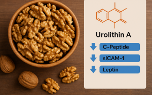 不只能補腦，它更是腸道界的「超級英雄」，最新研究揭示：可改變發炎與癌症風險