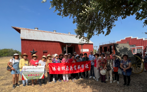 震撼迷離    包羅萬象    千姿百態