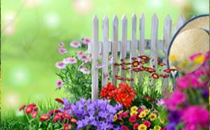 Katy家居与园艺展，美化您的家，一个展会中有如此多看点，太值了!