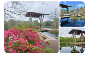 回到故鄉貝蒙市・遊德州香格里拉