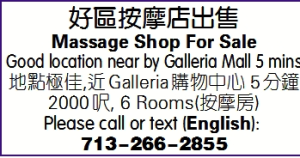 好區按摩店出售