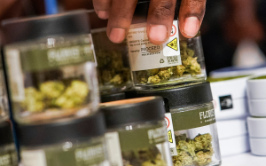 美政府提案大麻危害降级 料為拜登加分