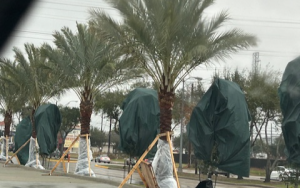 風暴冰雪穿越美國