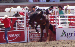 2021休斯頓牛仔節取消開場秀