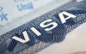 I-129、I-140暫停受理加急，民眾應如何應對？