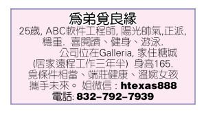 為弟覓良緣