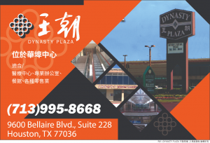 DYNASTY PALZA 王朝商場