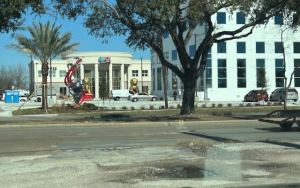 迎春納福，大家保重