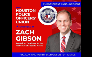 资深检察官 Gibson 宣布竞选上诉法院法官