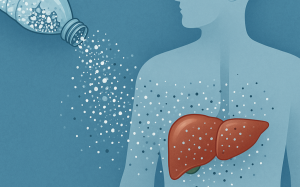 外賣盛行的年代，塑膠微粒如何傷肝？分享四種科學證明的有效防護方法