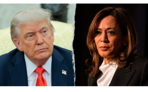 特朗普撤銷哈裏斯特勤保護：安全保障背後的政治信號