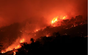 洛杉磯附近野火延烧 逾90栋房屋被烧毁上万人撤离