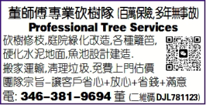 董師傅專業伐樹隊 (百萬保險,多年無事故)