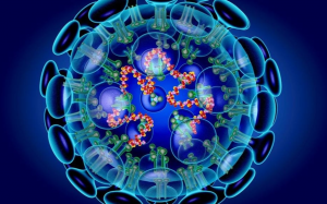 慈濟美國總會啟動愛的防疫機制